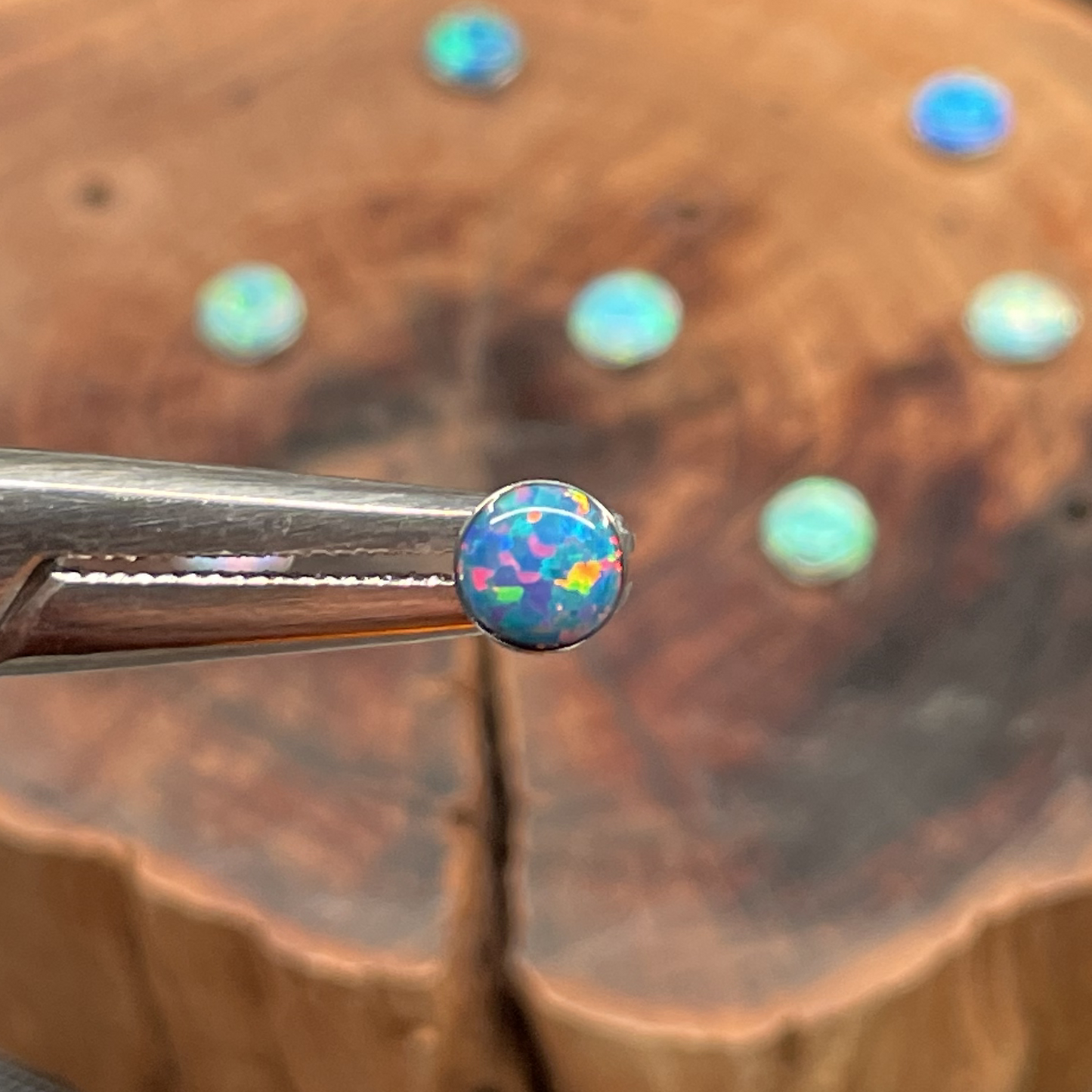 Titanium Stud | 5mm Wave-Bezel Opal Earring