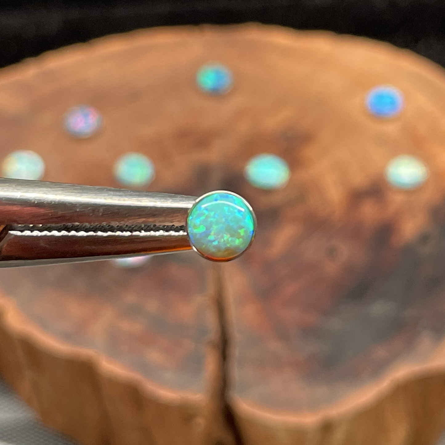 Titanium Stud | 5mm Wave-Bezel Opal Earring